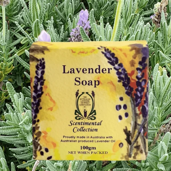 Leven K Lavender Soap 100gm - Image 4